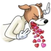 Party Dog 15