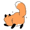 Numsiri fox 16