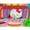 kitty 16