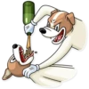 Party Dog 20