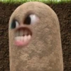 kentang is potato 19