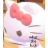 kitty 20