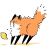 Numsiri fox 23