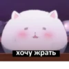 РАНДОМ 🎲 ⬅ 🔞 22