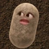 kentang is potato 20