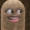 kentang is potato 21