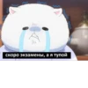 РАНДОМ 🎲 ⬅ 🔞 25