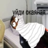П Р И Н Ц Е С С К И 26