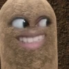 kentang is potato 24