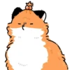 Numsiri fox 26