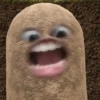 kentang is potato 25