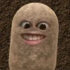 kentang is potato 26