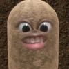 kentang is potato 27