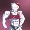 kitty 26