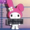 kitty 28