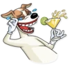Party Dog 29