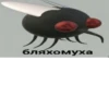 Вы в пизде от 5