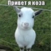 NXCTDKW_by_achestickbot 6