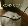 NXCTDKW_by_achestickbot 9