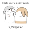 RABBITPYL9 5