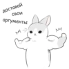 RABBITPYL9 7
