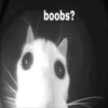 cats.mos? 9