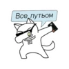 QR-cat by monobank 10