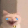 cats.mos? 10