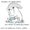 RABBITPYL9 8