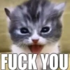 cats.mos? 11