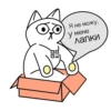 QR-cat by monobank 12