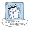 QR-cat by monobank 16