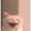 perdón no hay título:'v 9