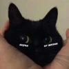 Стики из 17