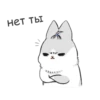 RABBITPYL9 15