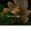 hœ’s mood 20