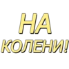 HA КОЛЕНИ!
