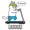 QR-cat by monobank 20