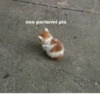 hœ’s mood 22