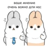 RABBITPYL9 16
