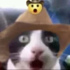 cats.mos? 22