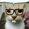 cats.mos? 23