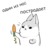 RABBITPYL9 17