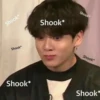 Shook* Shook* Shook* Shook* Shook* Shook* Shook*