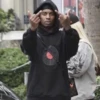 hœ’s mood 29