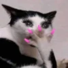Meow by 5