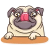 Pug Power 5