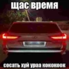 ванофкарс 8