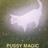 Meow by 10