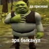 Да признаю зря быканул